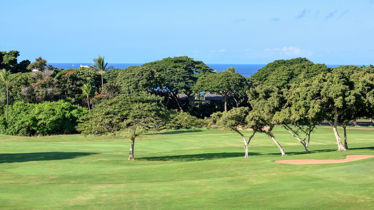 Photo of Others in Wailea