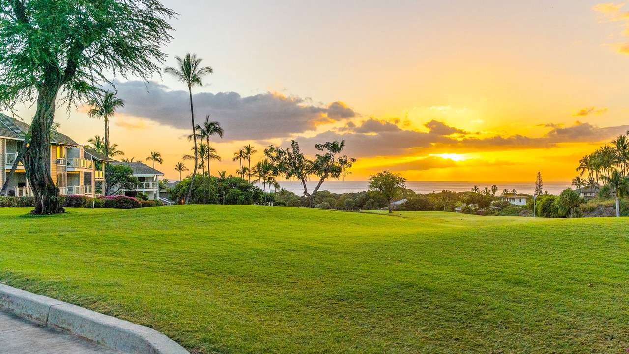 Photo of Outdoor in Wailea
