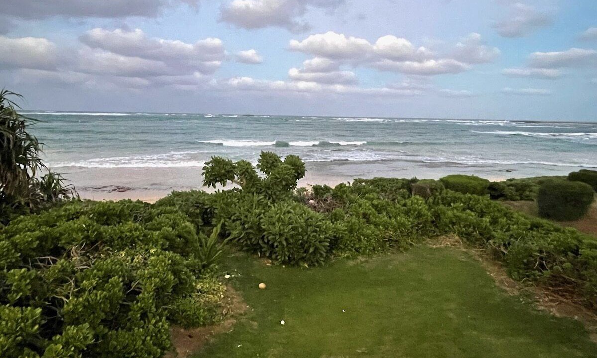Photo of Others in Laie