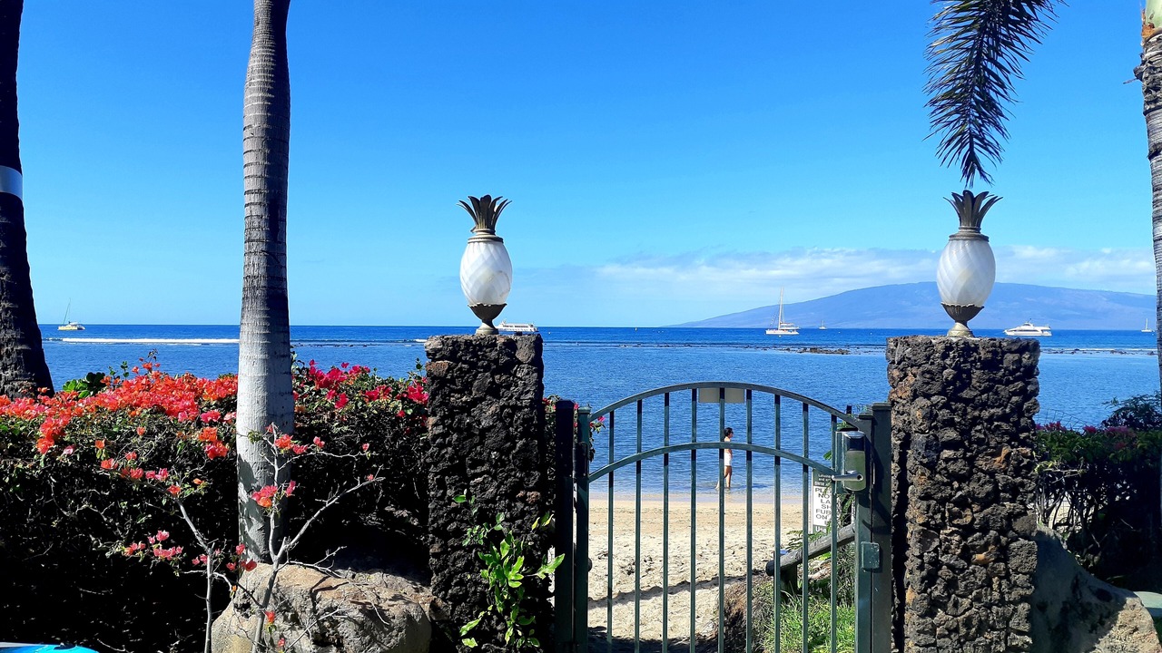 Photo of Others in Historic Lahaina Front Street