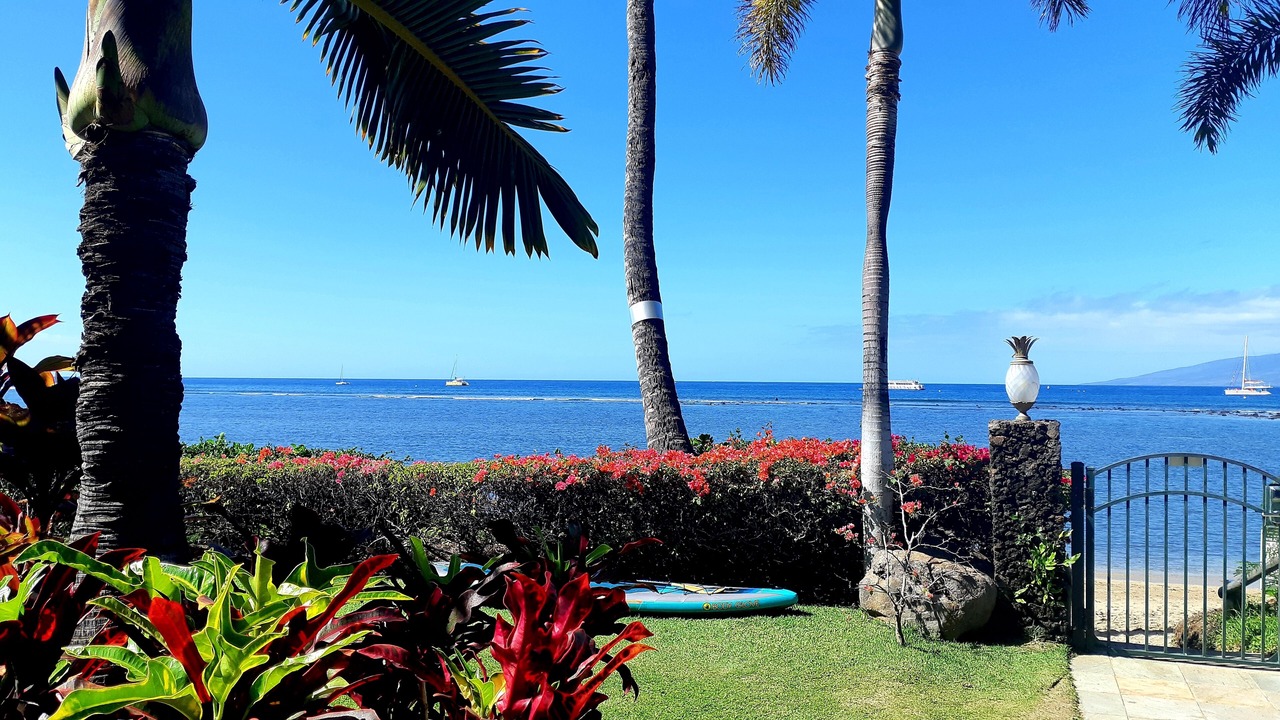 Photo of Others in Historic Lahaina Front Street