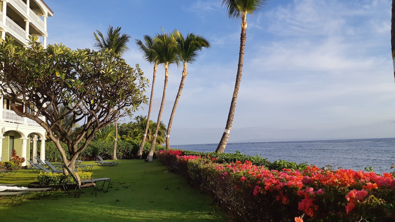 Photo of Others in Historic Lahaina Front Street