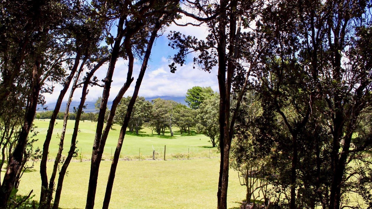 Photo of Outdoor in Volcano