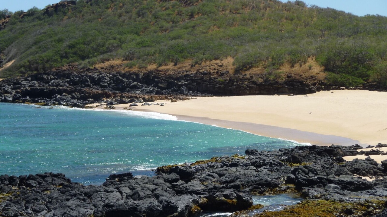 Photo of Others in Maunaloa