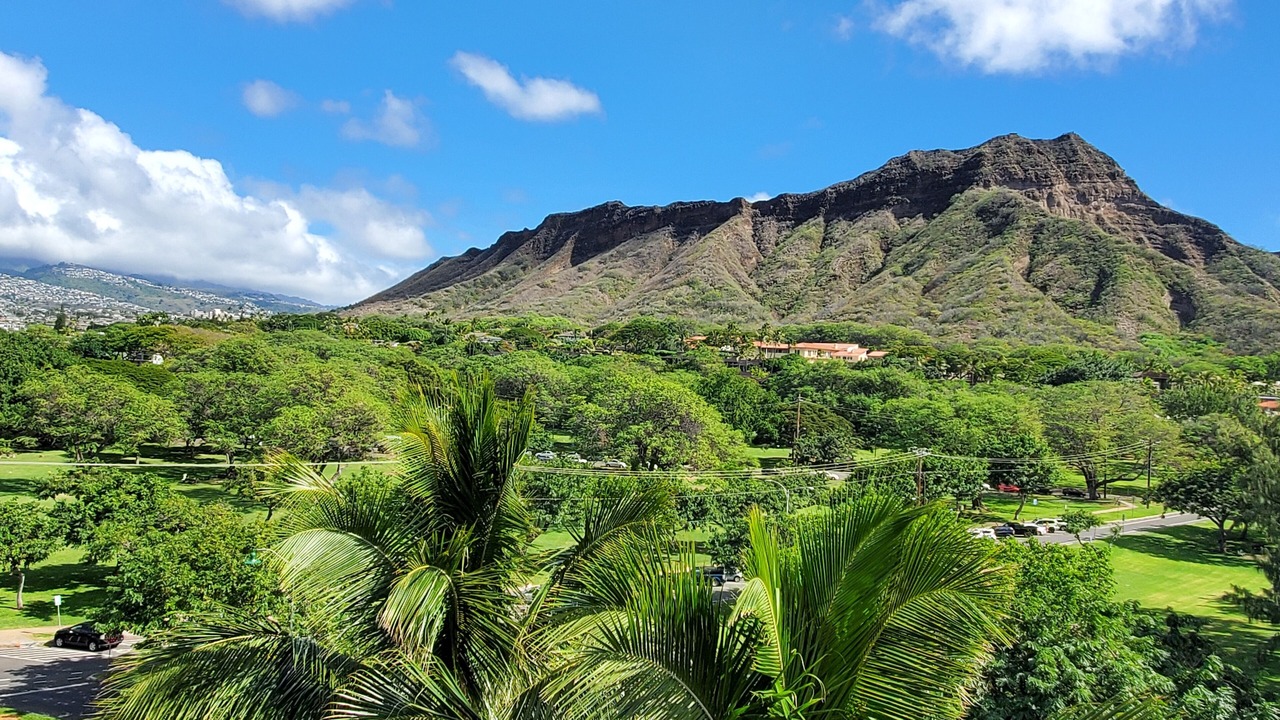 Photo of Others in Diamond Head - Kapahulu - St. Louis