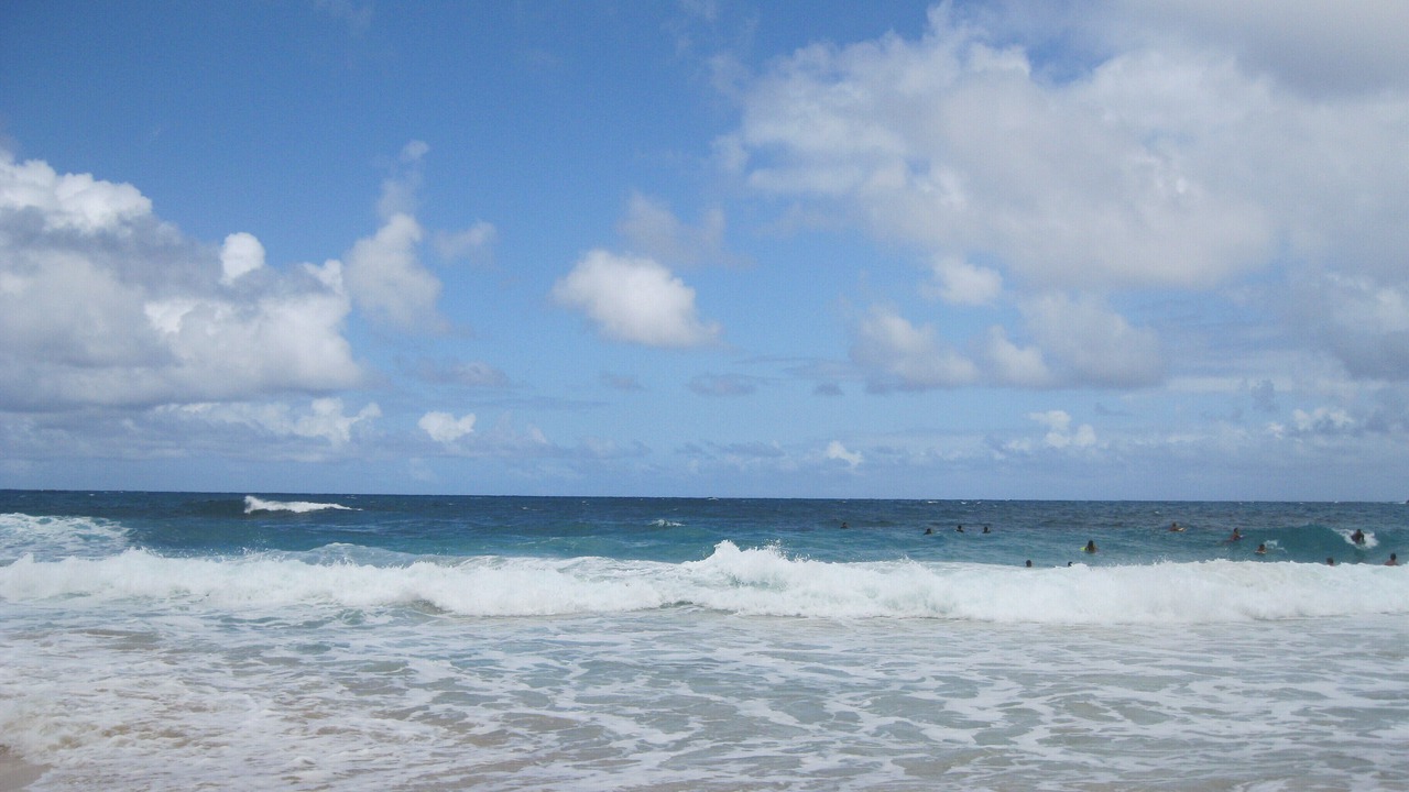 Photo of Others in Diamond Head - Kapahulu - St. Louis