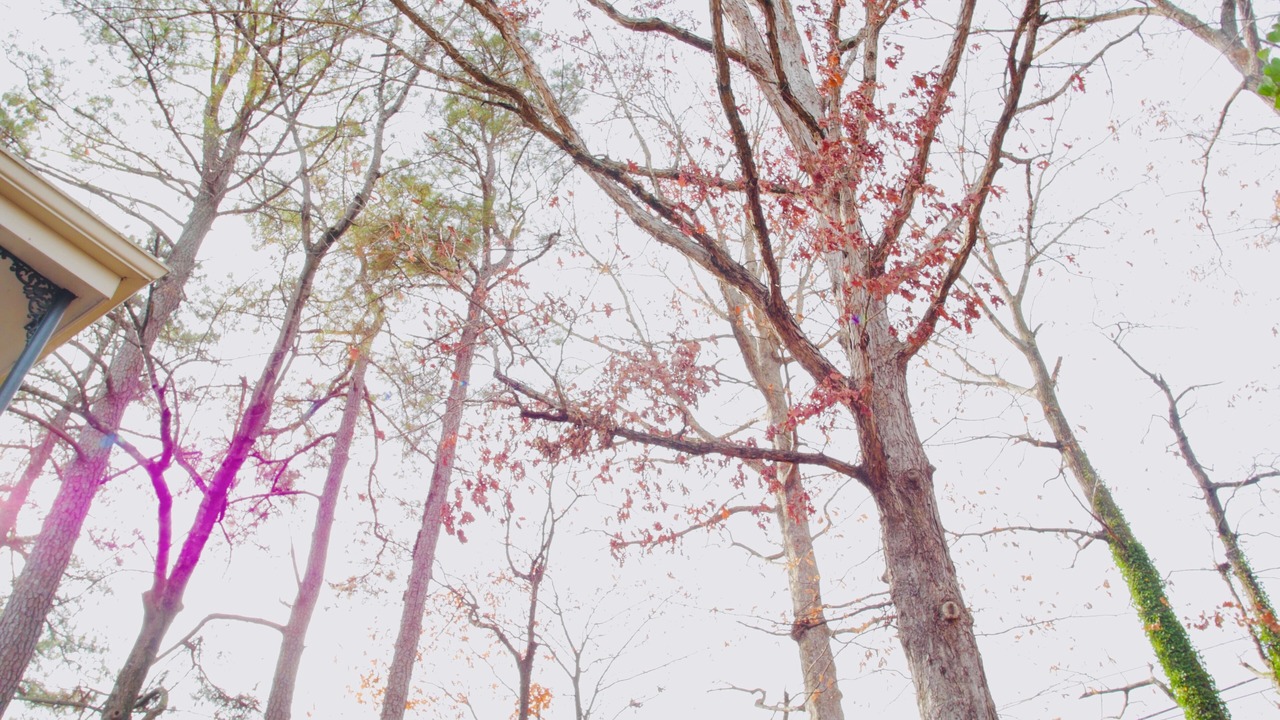 Photo of Outdoor in Atlanta