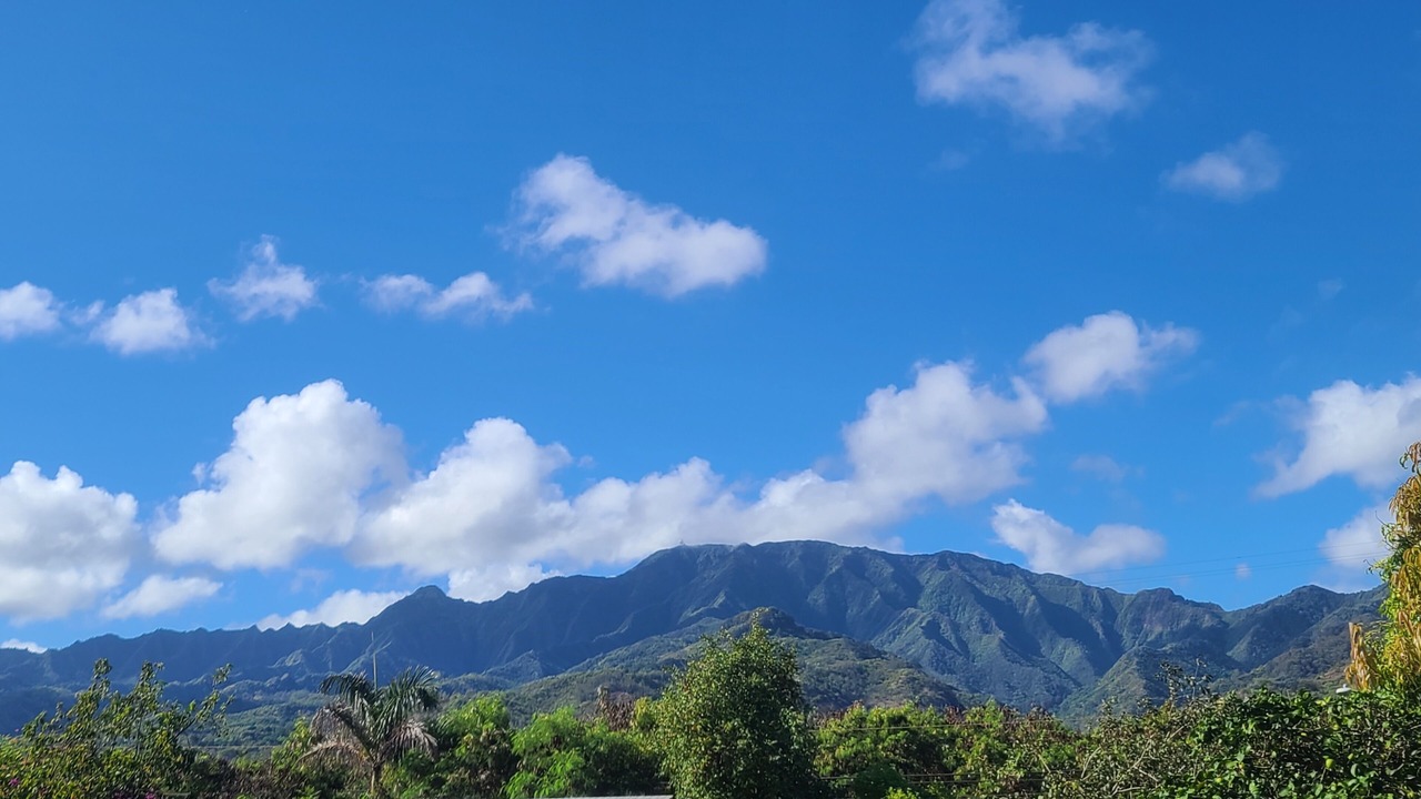 Photo of Others in Mokuleia