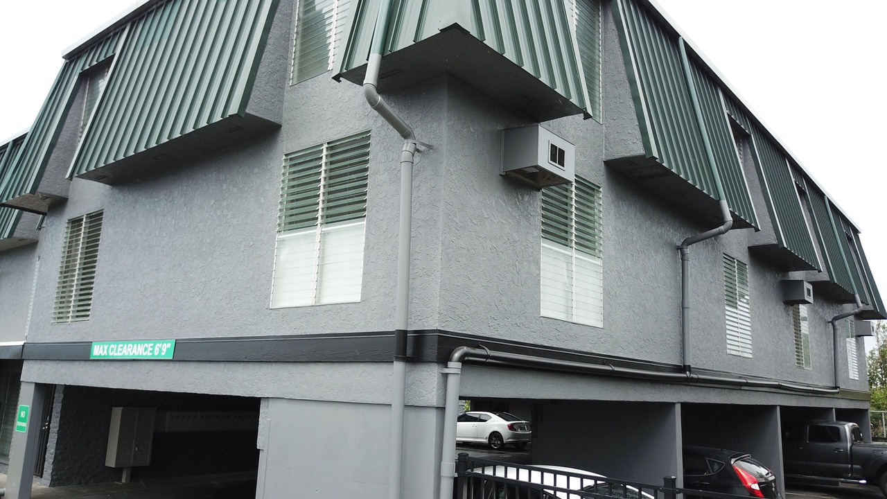 Photo of Outdoor in Hilo