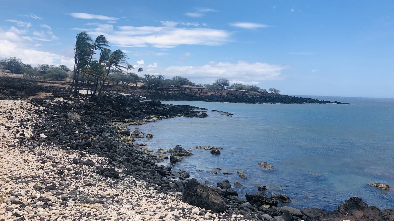 Photo of Others in Hilo