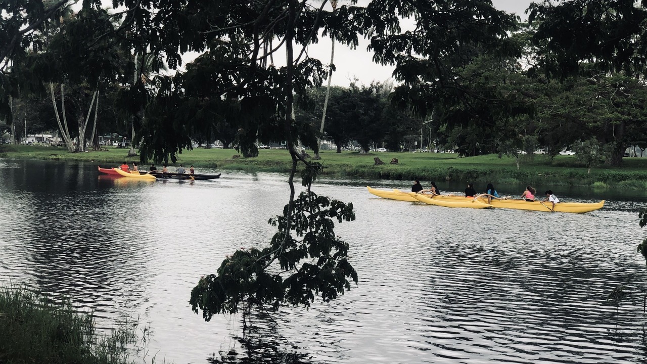 Photo of Outdoor in Hilo