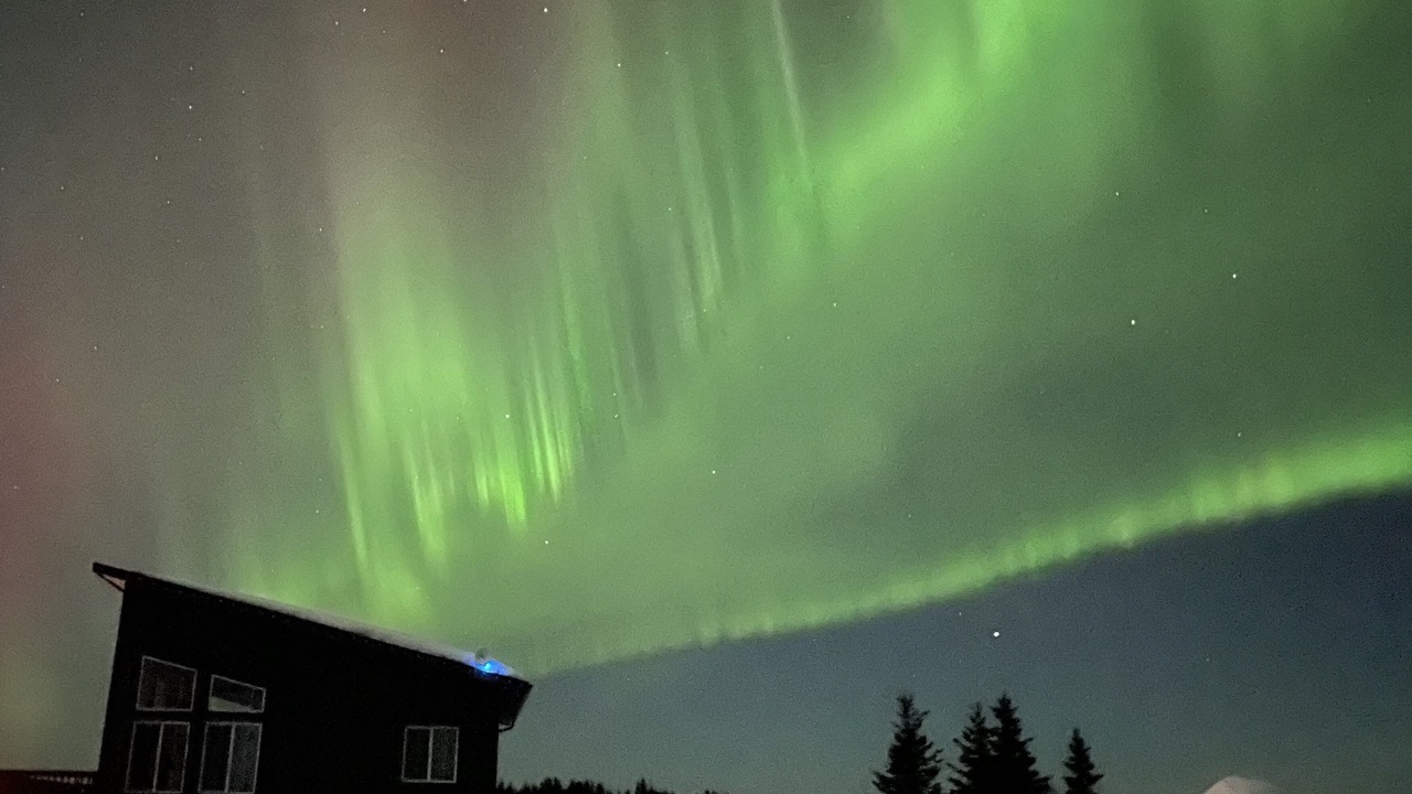 Photo of Others in Homer