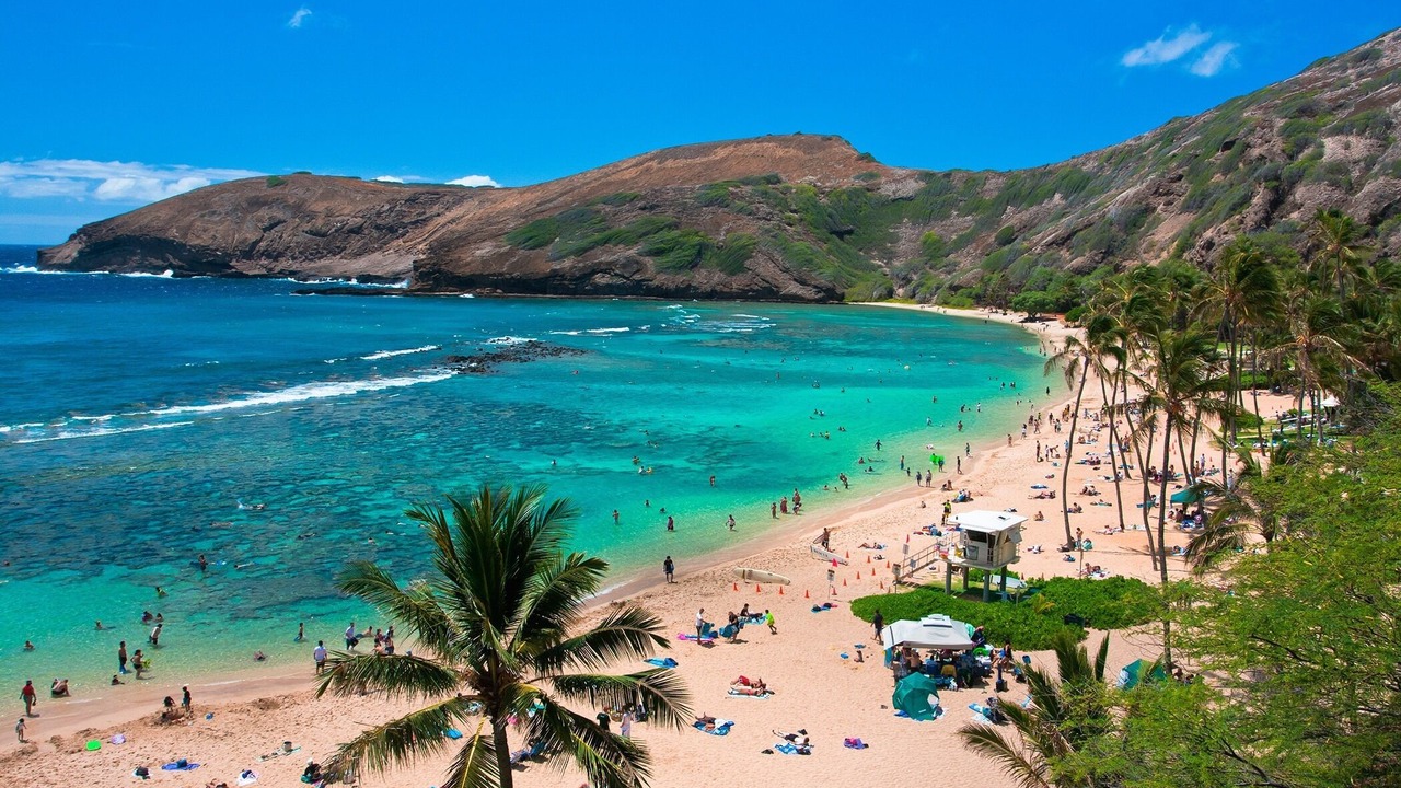Photo of Others in Hawaii Kai