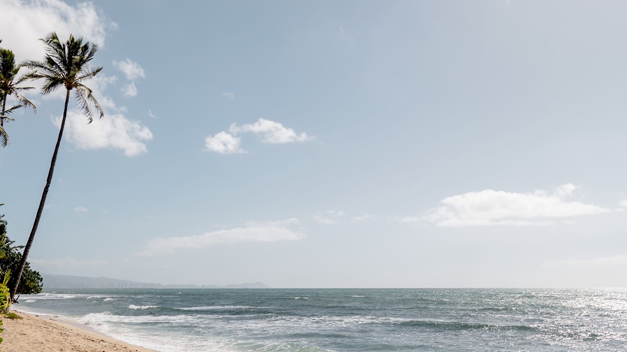 Photo of Others in Ewa Beach