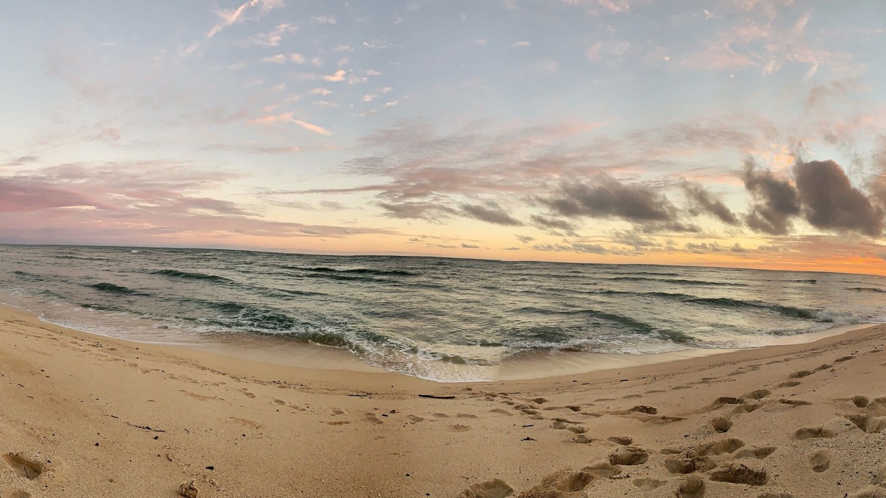 Photo of Others in Ewa Beach