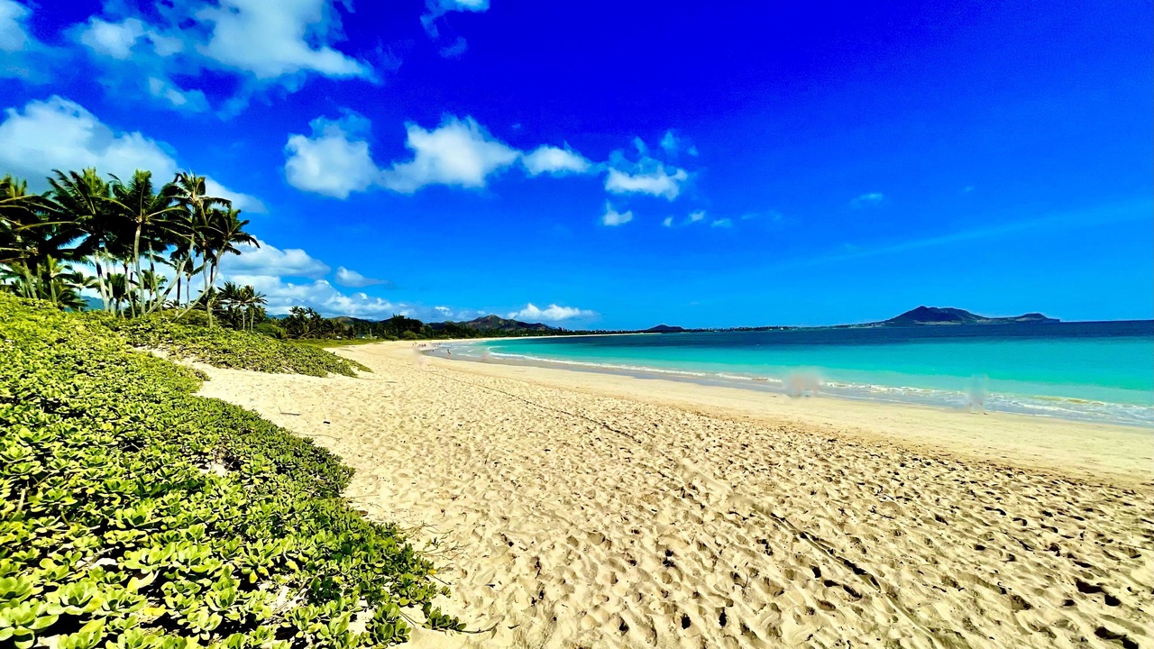 Photo of Others in Kailua