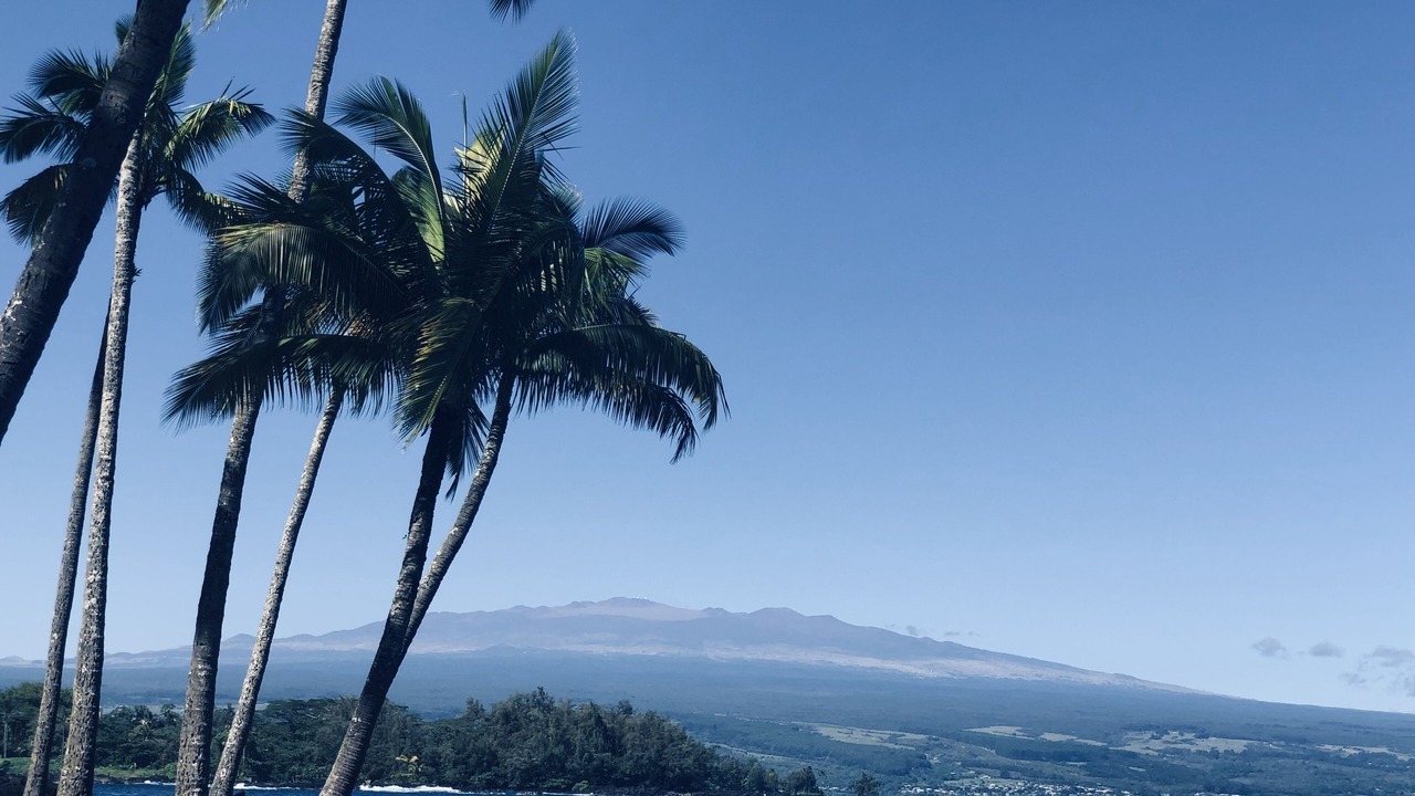 Photo of Others in Hilo