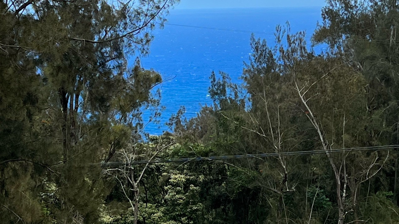 Photo of Others in Honokaa