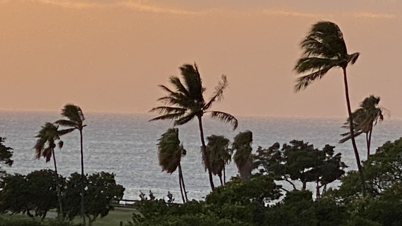 Photo of Others in Kaanapali