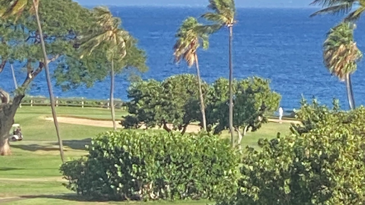 Photo of Others in Kaanapali