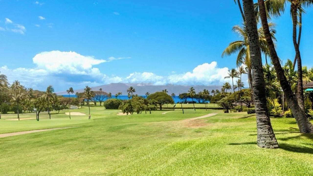 Photo of Others in Kaanapali