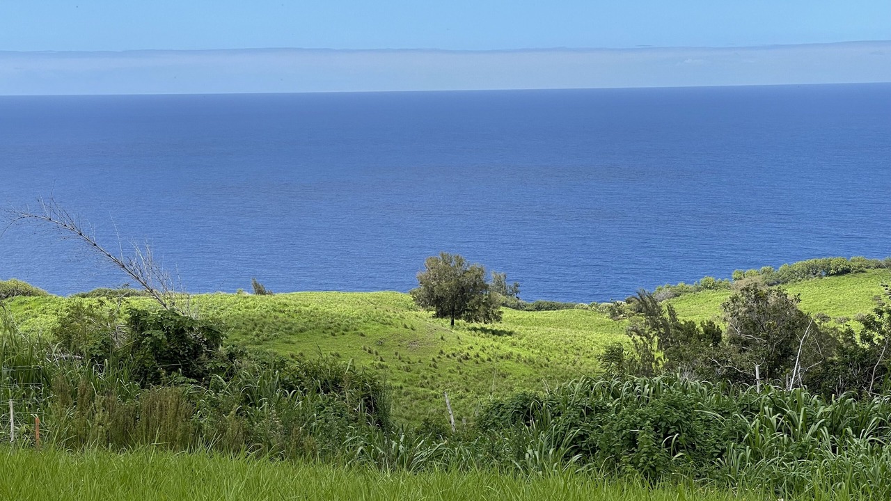 Photo of Others in Kukuihaele