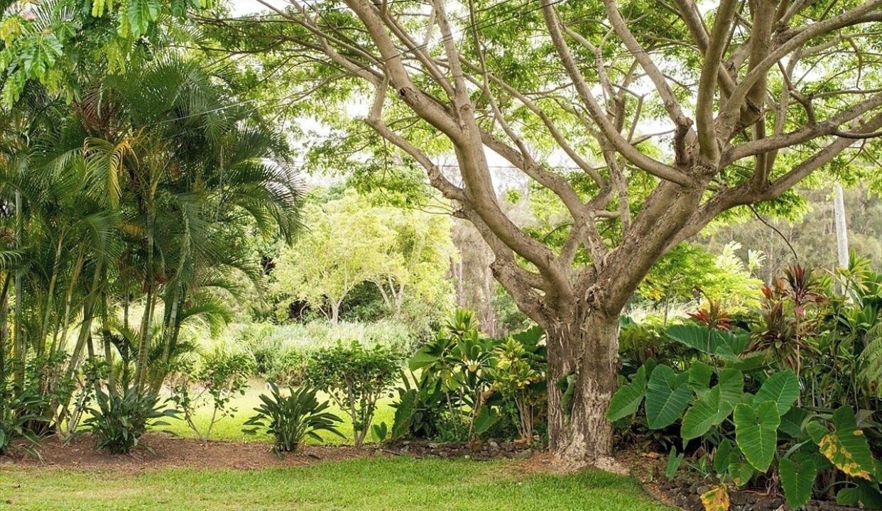 Photo of Outdoor in Kukuihaele