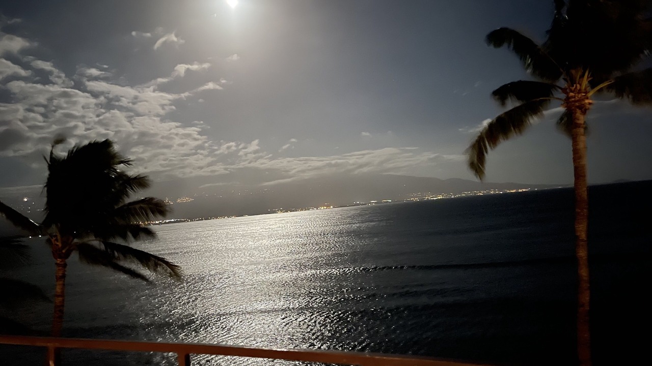 Photo of Others in Maalaea