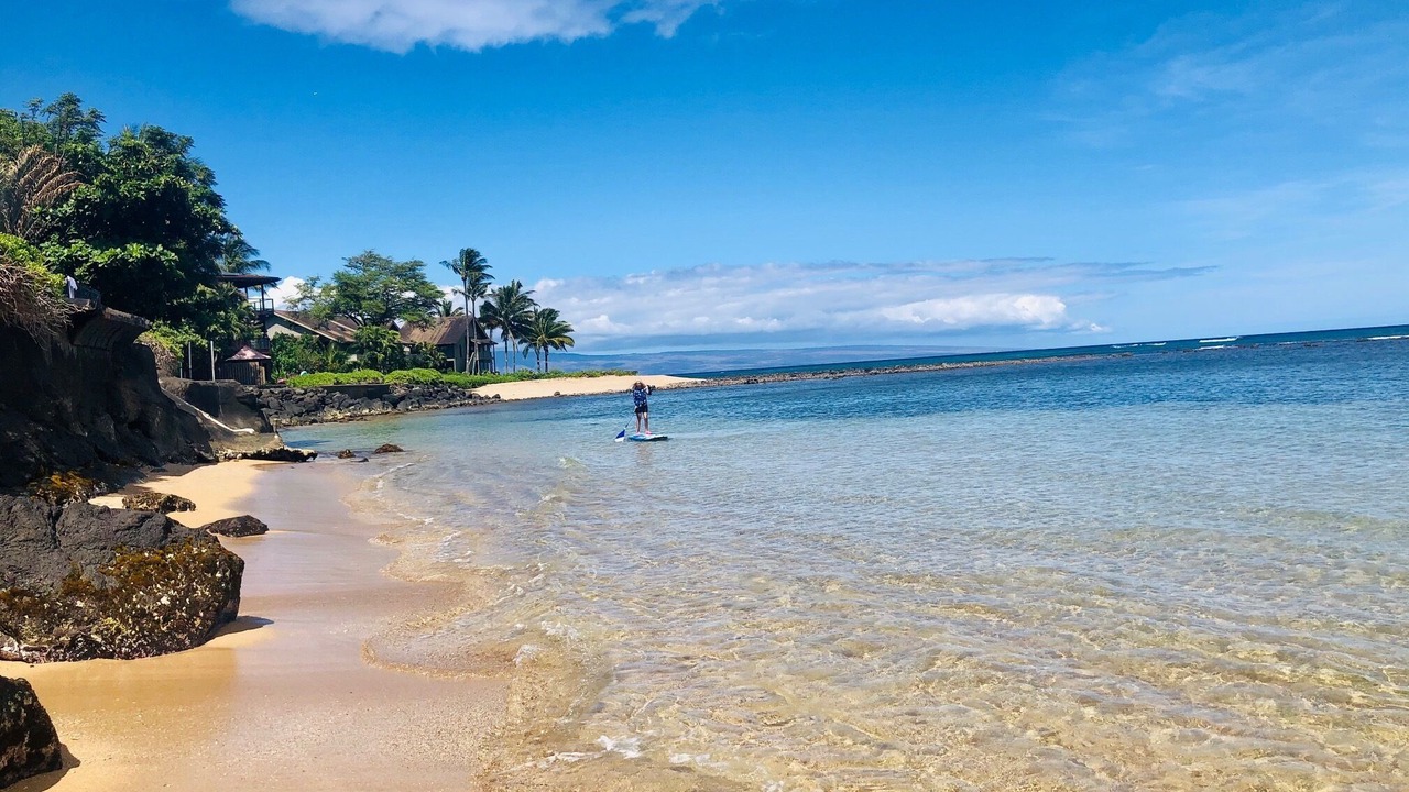 Photo of Others in Kahana