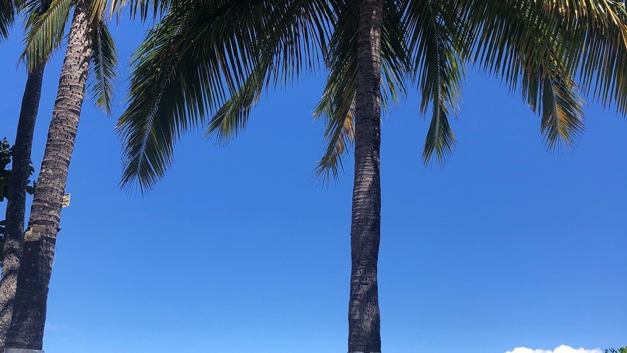 Photo of Others in Kahana