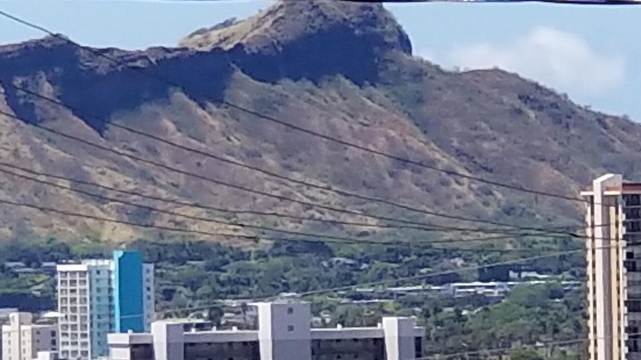 Photo of Others in Manoa