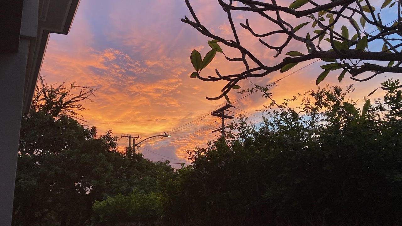 Photo of Outdoor in Manoa