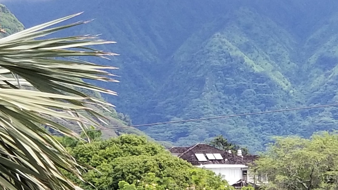 Photo of Others in Manoa