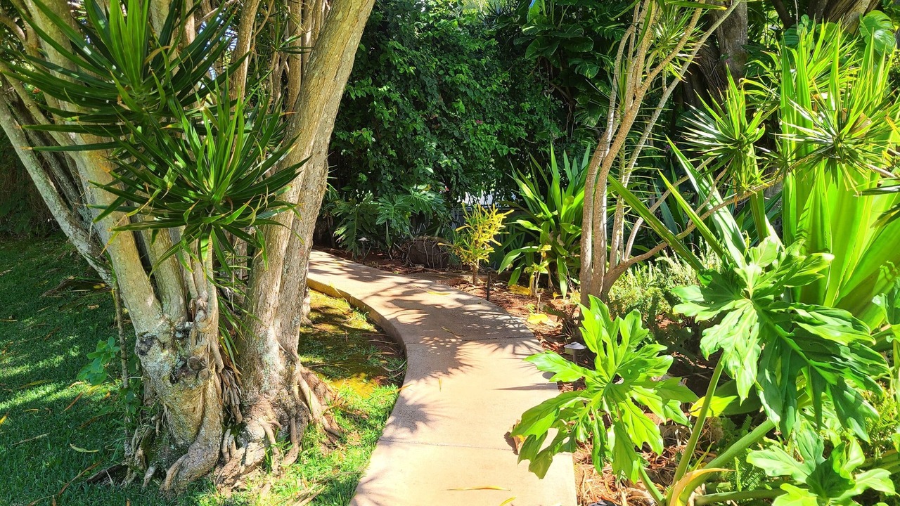 Photo of Outdoor in Kahana