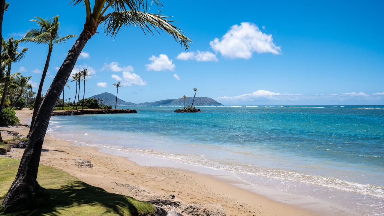 Photo of Others in Waialae Iki