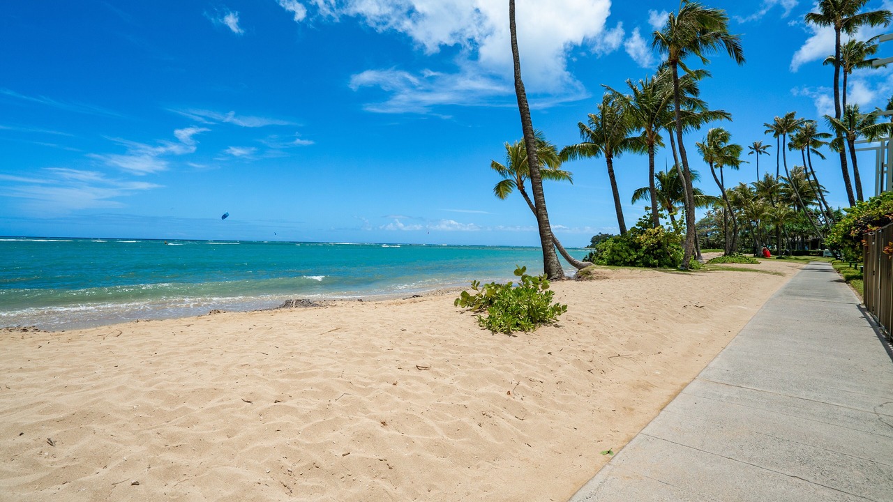 Photo of Others in Waialae Iki