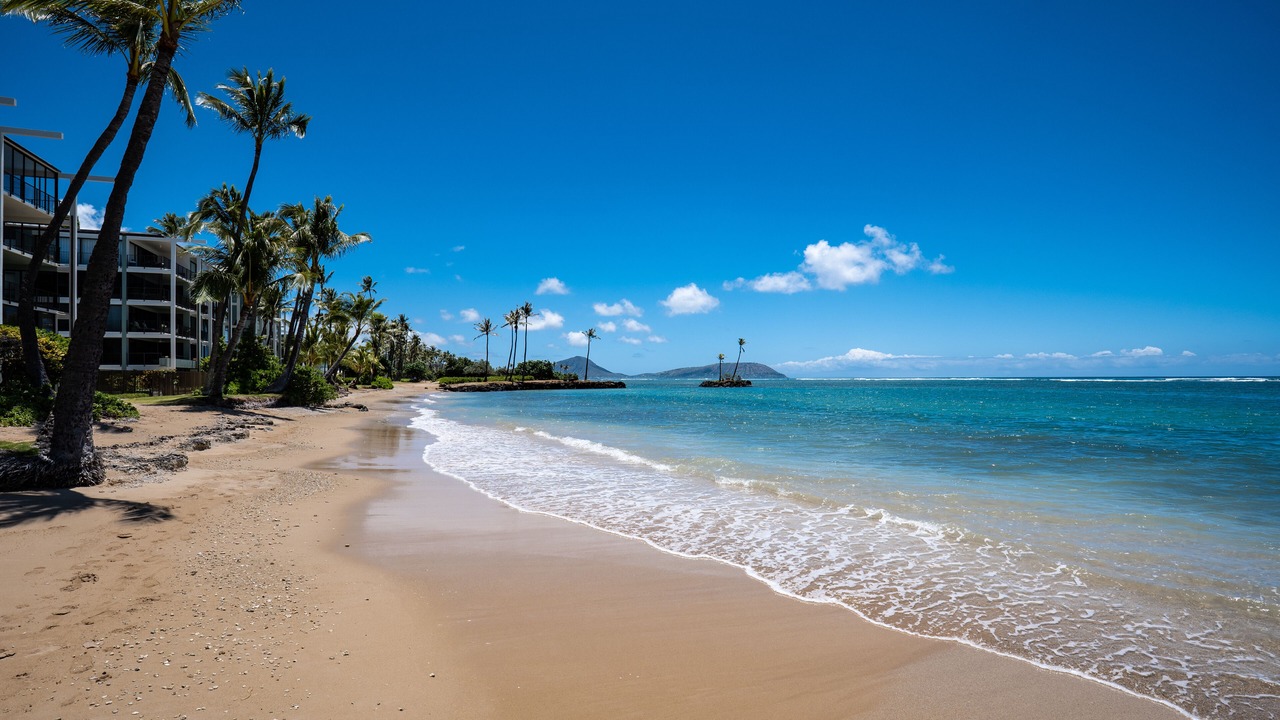 Photo of Others in Waialae Iki