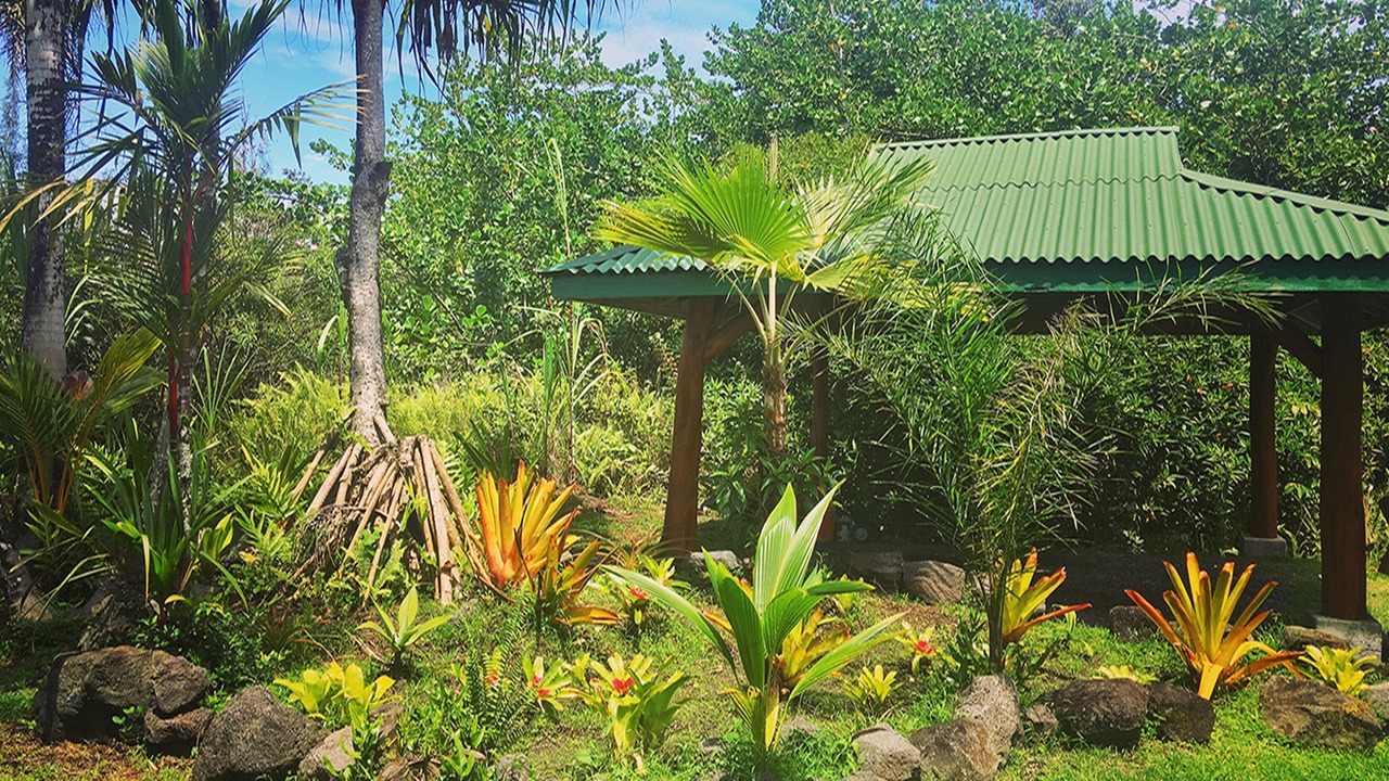 Photo of Outdoor in Keaau