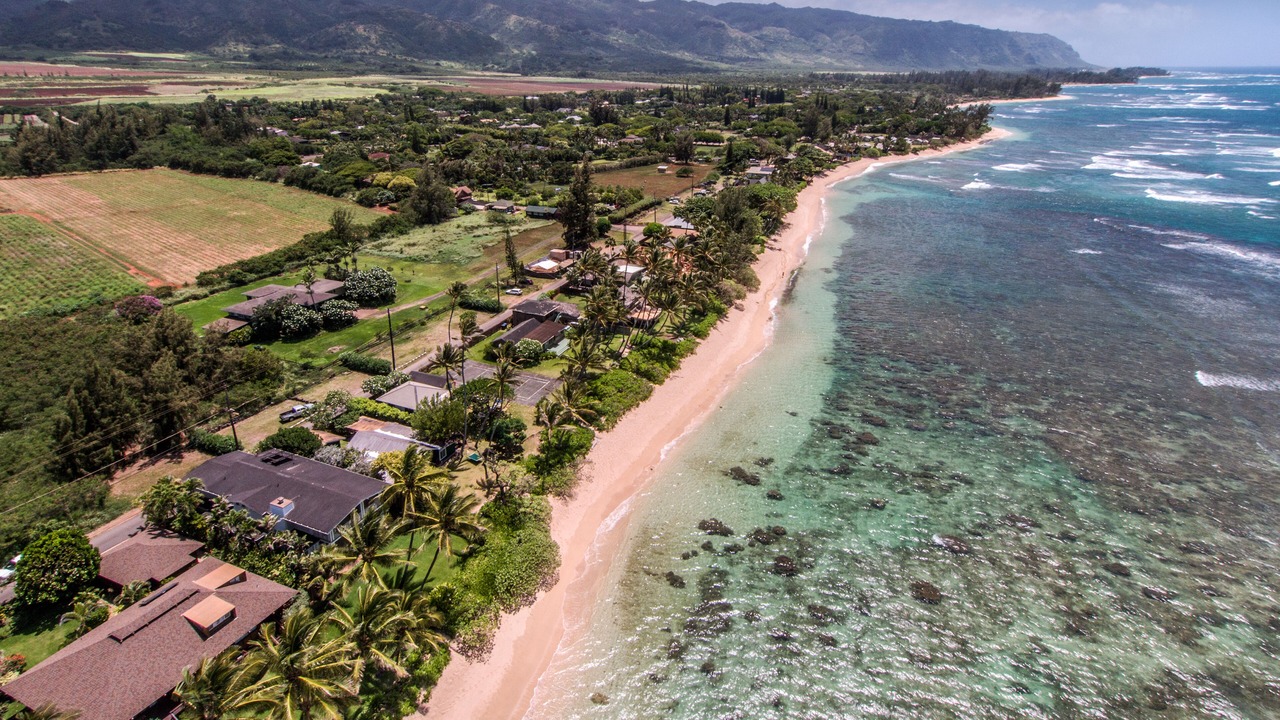 Photo of Others in Mokuleia