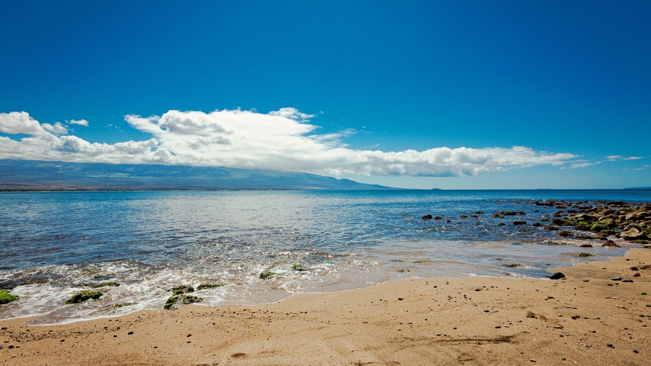 Photo of Others in Maalaea
