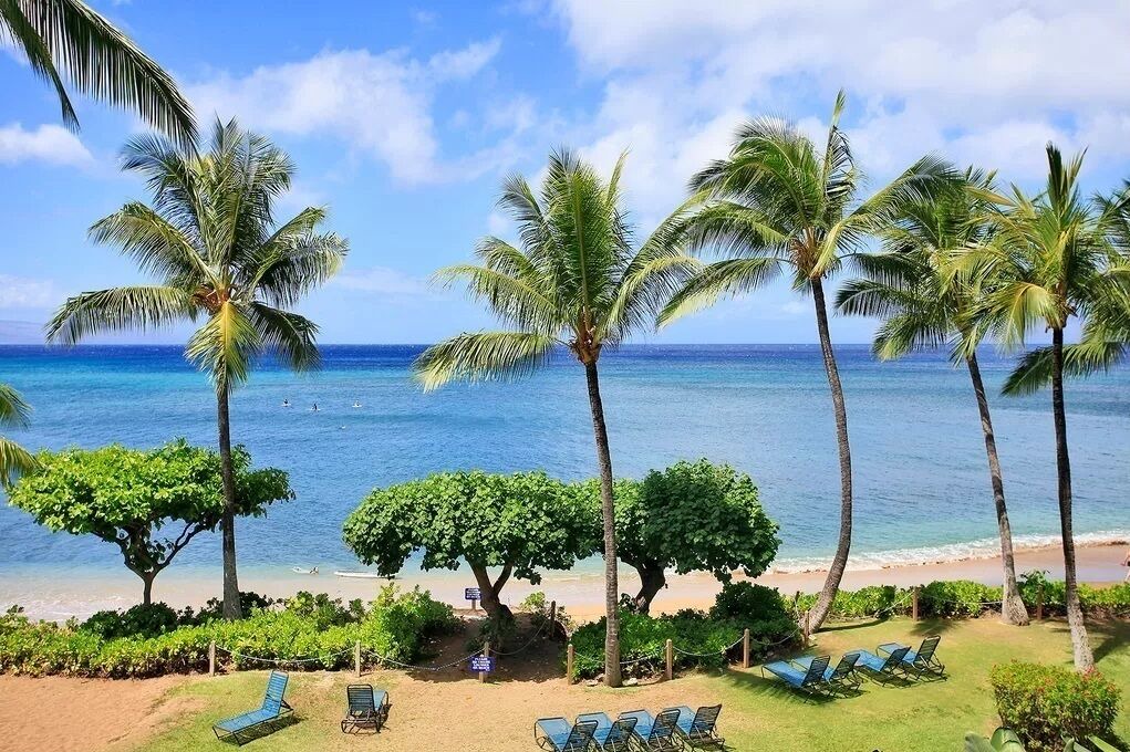 Photo of Others in Kahana