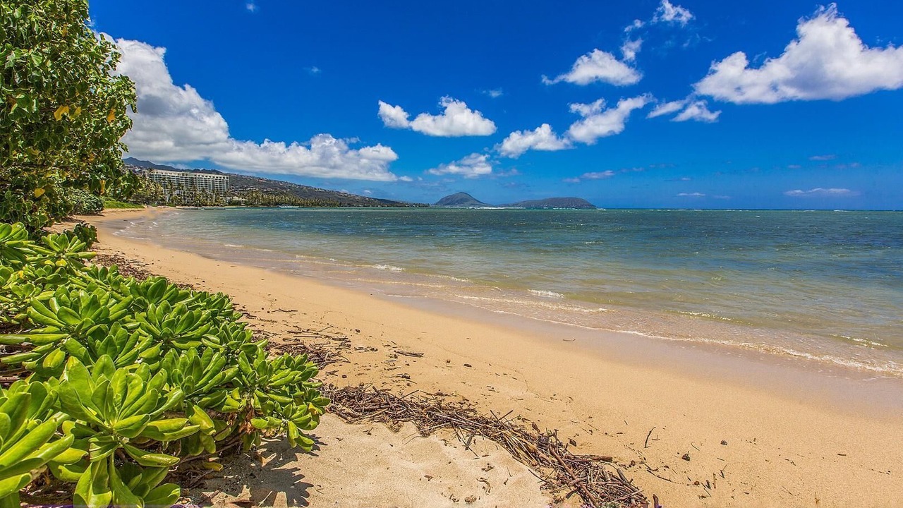 Photo of Others in Kahala