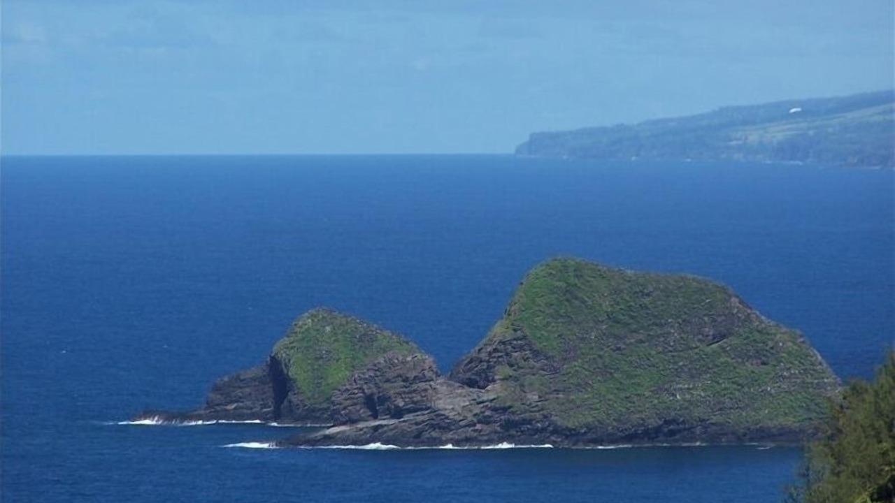 Photo of Others in Hawi