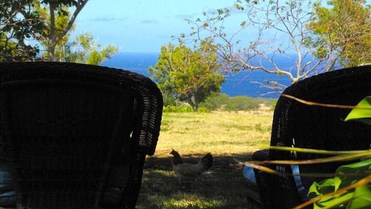 Photo of Others in Hawi