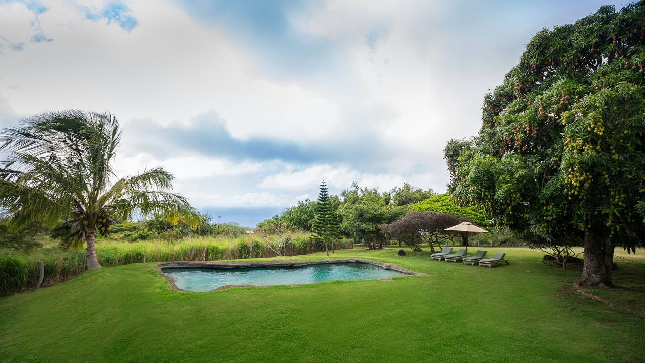 Photo of Outdoor in Hawi