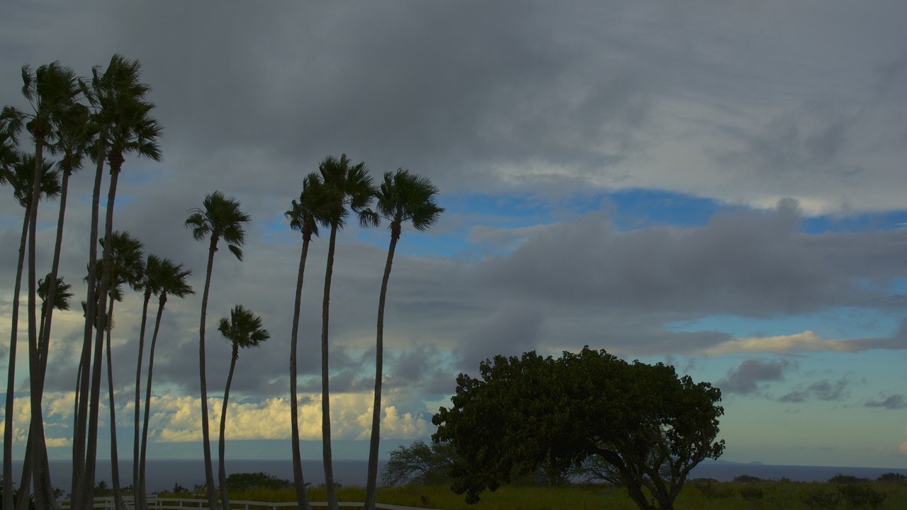 Photo of Others in Hawi