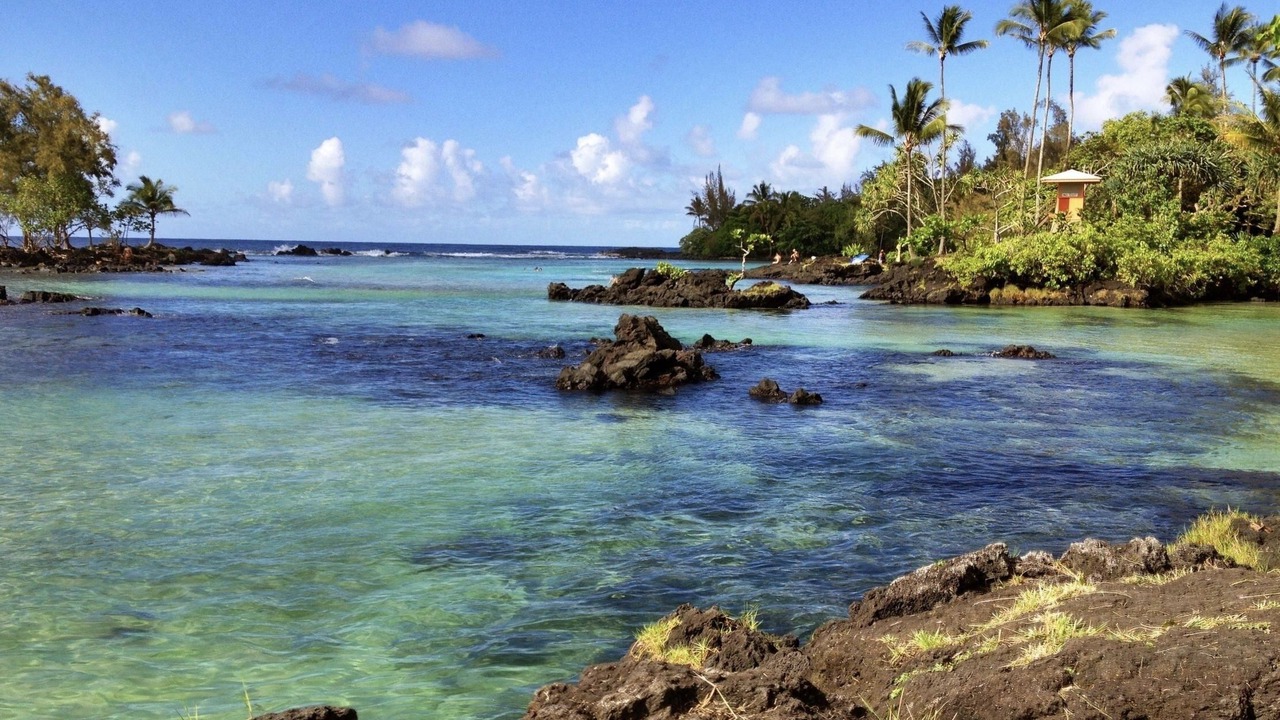 Photo of Others in Hilo