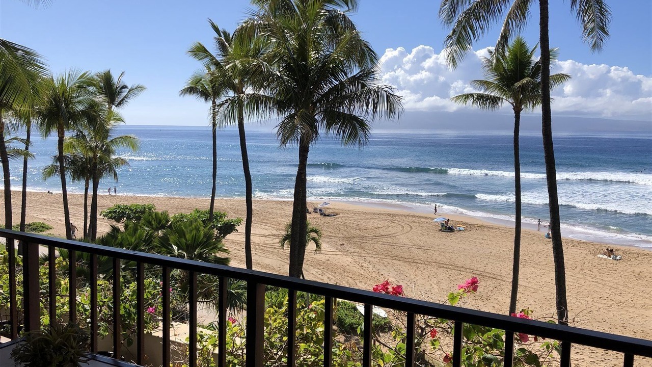 Photo of Others in Lahaina
