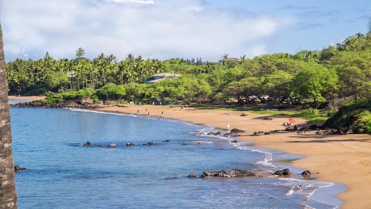 Photo of Others in Wailea
