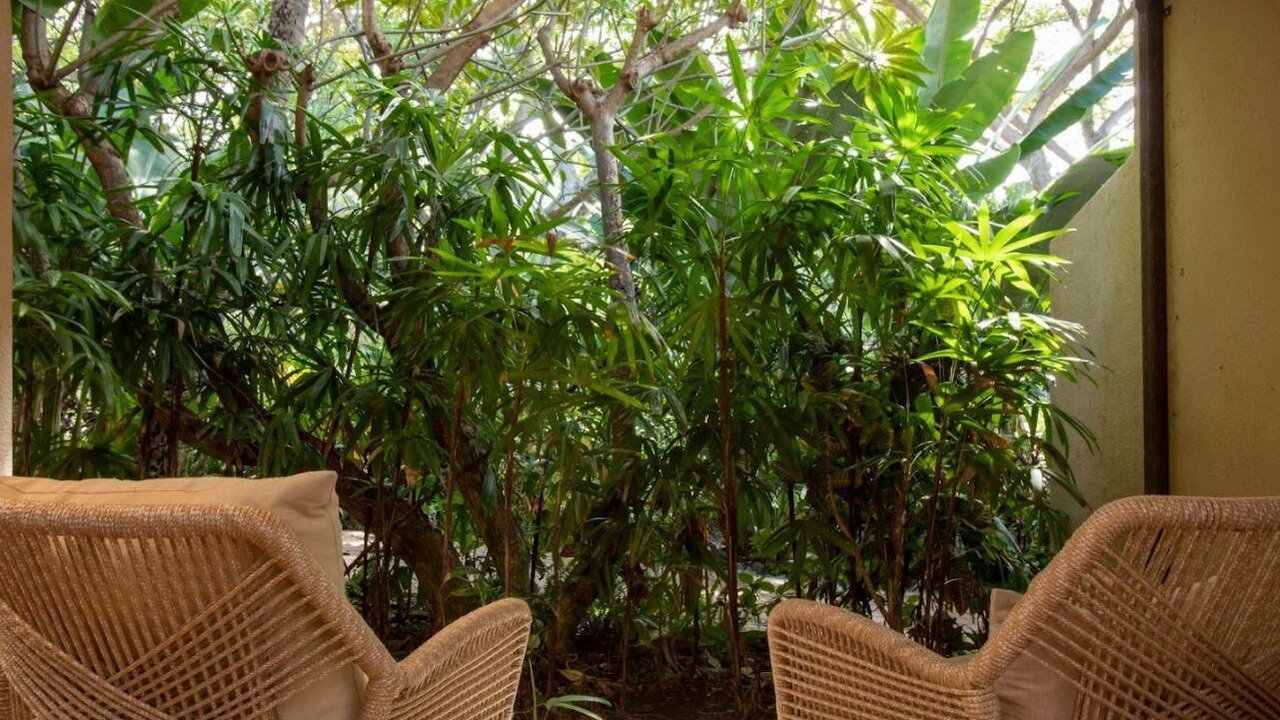 Photo of Outdoor in Wailea